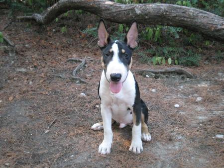  H�lios 3 mois et demi